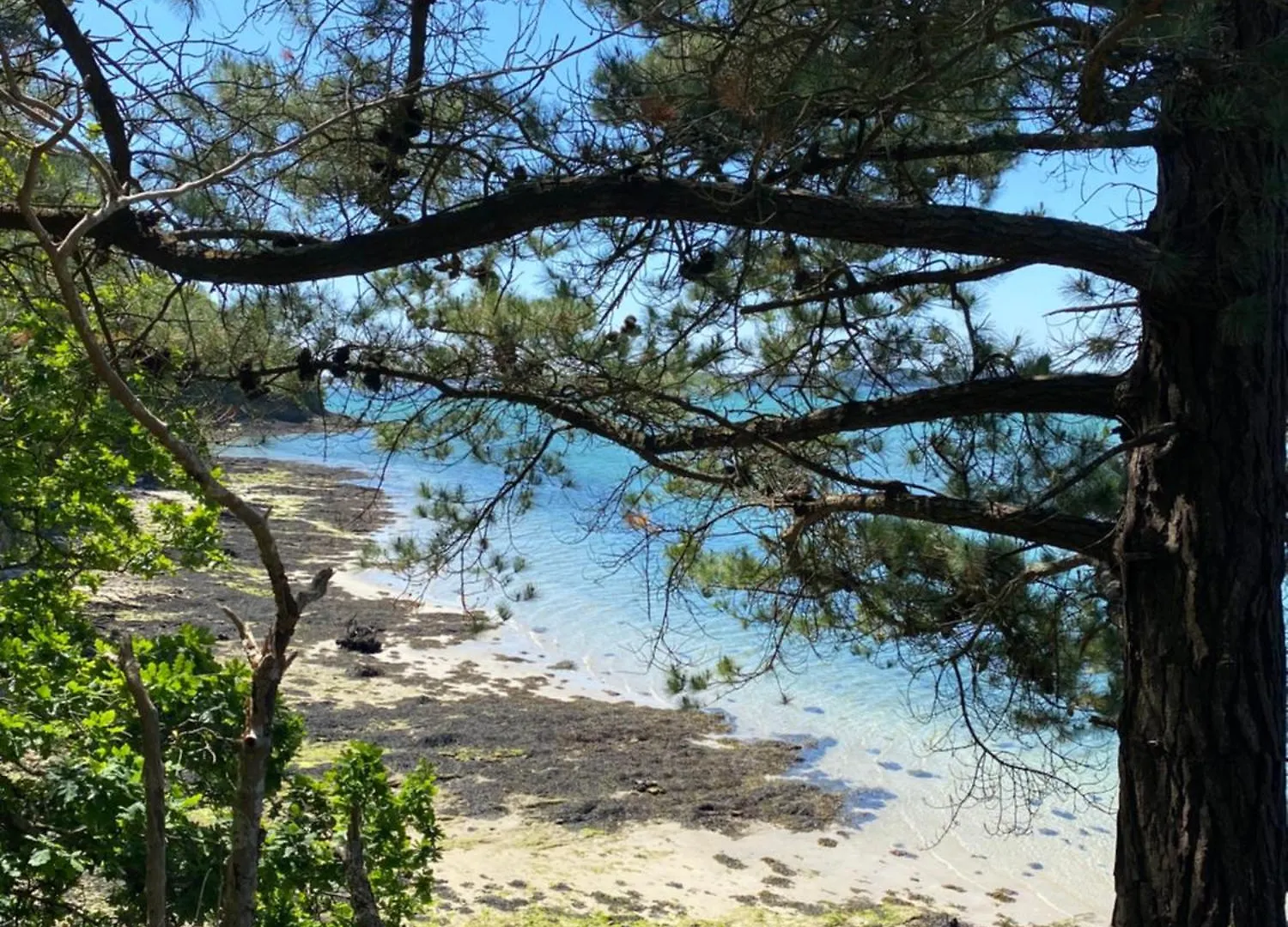 Location Maison De Vacances Concarneau - 4 Personnes